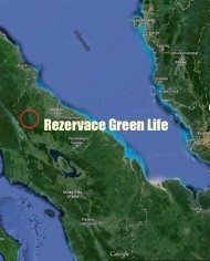 greenlife