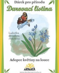 arnika-rostlina-ladonka-500px