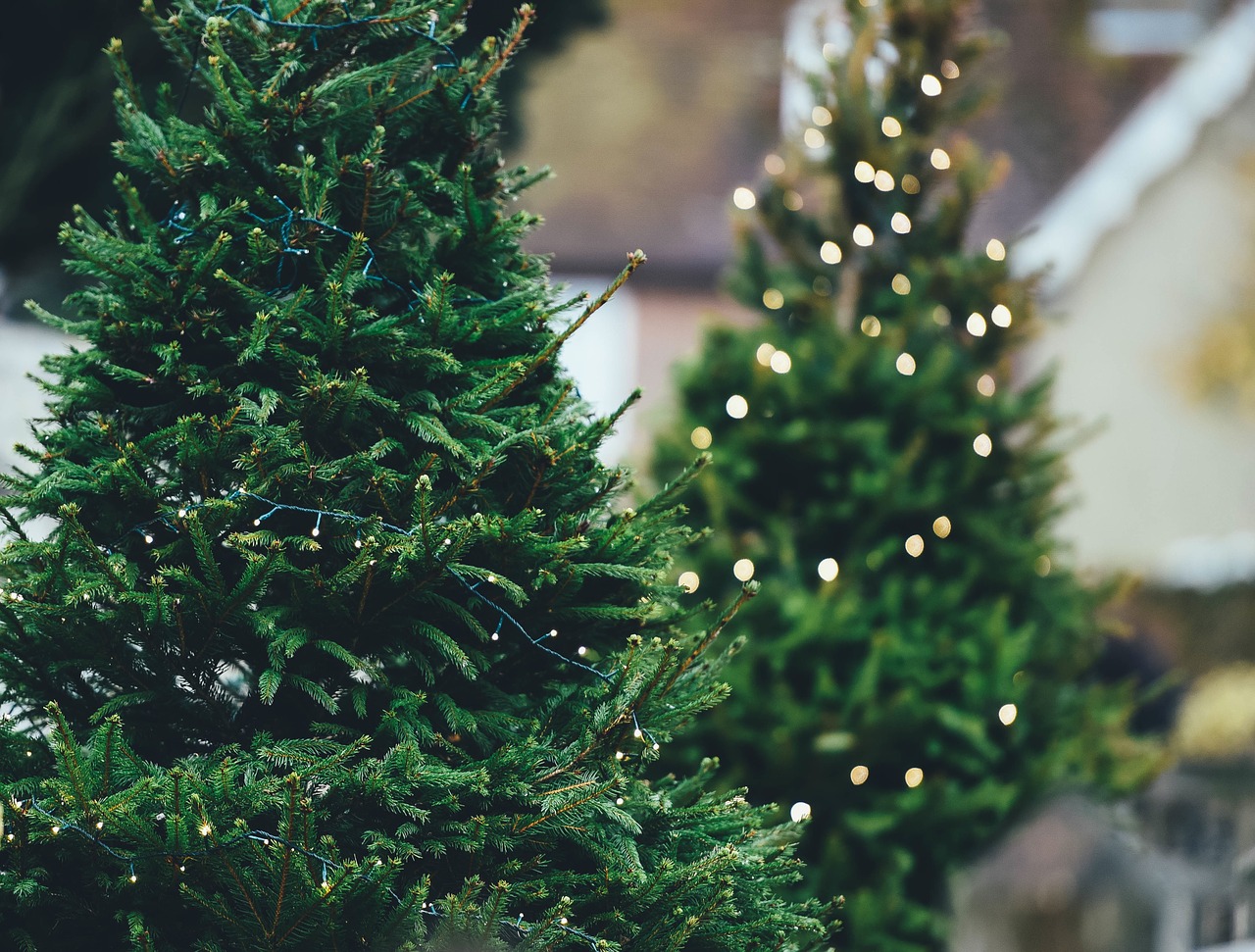 christmas-tree-1149919_1280
